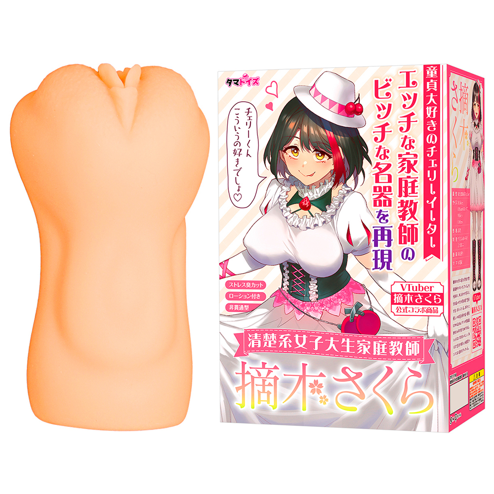 清楚系女子大生家庭教師　摘木さくら