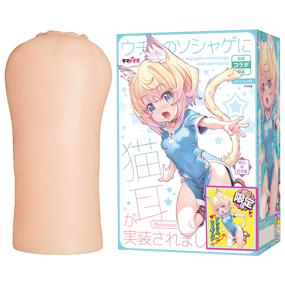 ウチのソシャゲに猫耳が実装されましたTHE HOLE　数量限定版