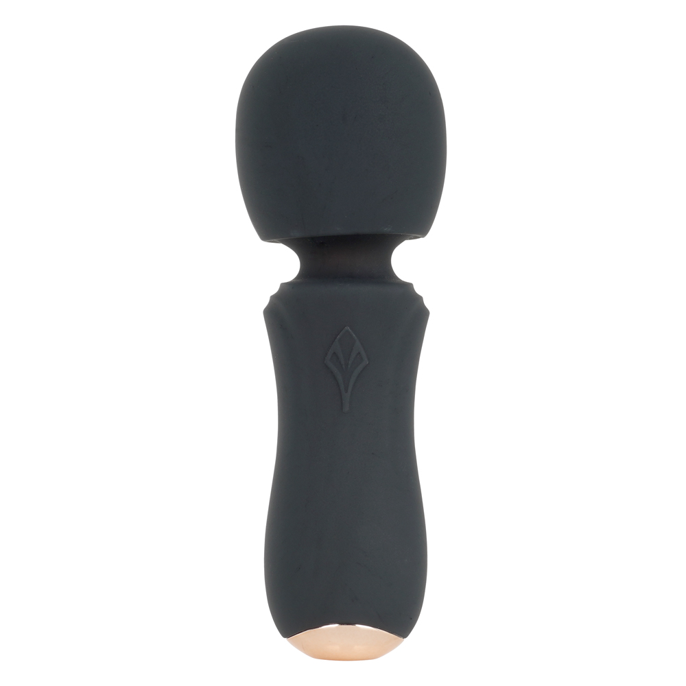 Beginner’s Love デンマ