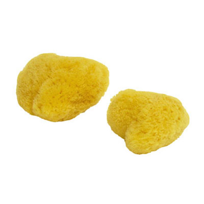 天然海綿（２個入り）