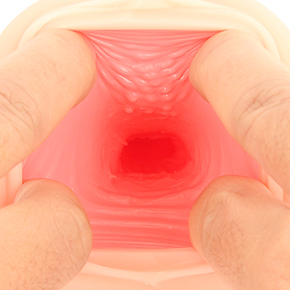 桃色の粘膜層が広がるエロティックな内部。こんもり盛り上がった肉イボが有機的で、思わず欲情しちゃいそう…。