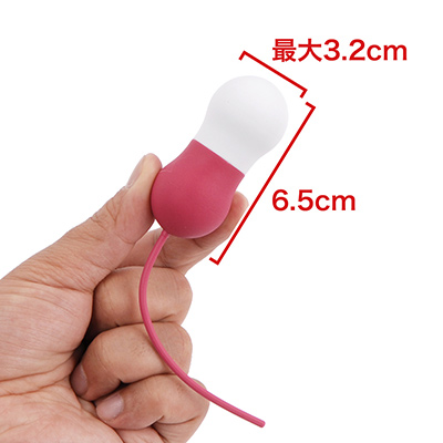 大きさは前作とほとんど変わらず、日本人女性にベストマッチするコンパクトサイズ。　※数値はＮＬＳ実測値