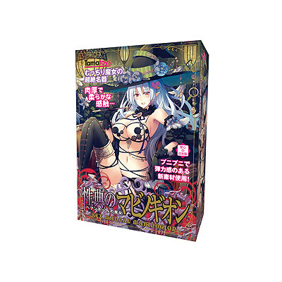 性典のマビノギオン ヘブンホールの魔女　