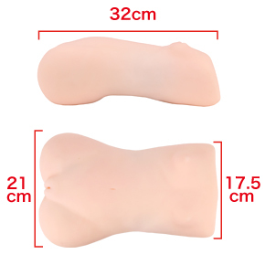 イカ腹が控えめになったものの、２段階隆起の乳首など、細部のエロさはハンパない！　※数値はＮＬＳ実測値