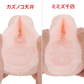 基本的にはイボとヒダ、どっちが好みかで選ぶのがオススメ。初心者は両方買って、比べてみるのも一興でしょう。
