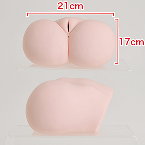 ホール挿入口：全長17cm（タテ）×21cm（ヨコ）。