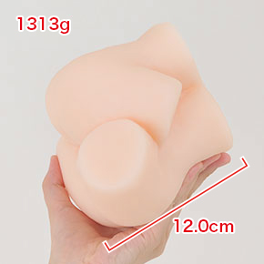 重量1313g、全長12cm。