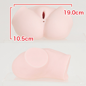 挿入部分全長10.5cm（タテ）×19cm（ヨコ）。
