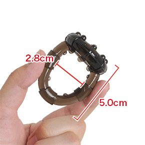 睾丸部分：全長5.0cm、内径2.8cm。