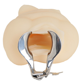 Vaginal Speculum Collin（ヴァギナル・スペキュラム・コリン）