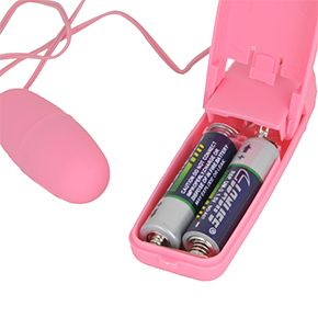 使用するには単三電池を２本必要です。