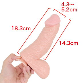 Ⅳ