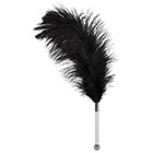 Feather Wand（フェザーワンド）