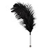 Feather Wand（フェザーワンド） 