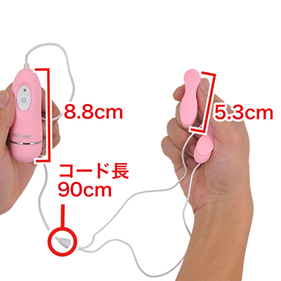 リモコンに二つのピンチ(洗濯バサミ）のようなローターが付属した構造になっています。