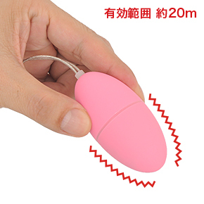 電波の有効範囲が従来品よりも広いですが、あんまり離れても相手の反応が見られないので、実用性ないかも…。