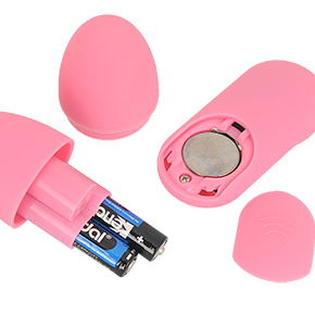電源はリモコン側がCR2032ボタン電池×１個、ローター側が単四電池×２本（各付属）。どちらも入手しやすいです。