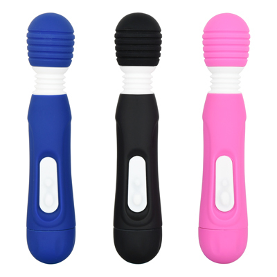 シルフィーミニ２
