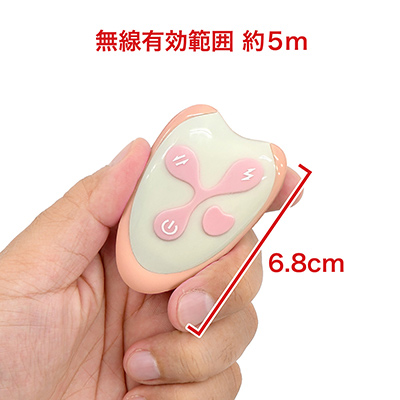 リモコンは２タイプ共通。前作よりもコンパクトかつシンプルになり、使いやすいです。　※数値はＮＬＳ実測値