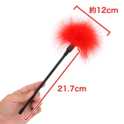 細いスティックの先に、綿毛のようなふわふわフェザーが広がり、お花みたいですね。　※数値はＮＬＳ実測値