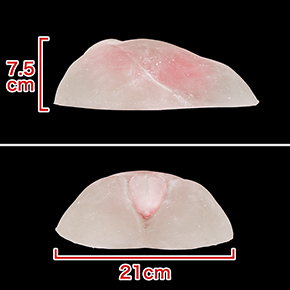 腰振り用のオナホにしては極端に背が低く、挿入口も上面にある、床オナ専用設計です。　※数値はＮＬＳ実測値