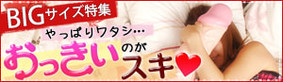 BIGサイズ