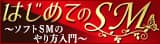 はじめてのSM
