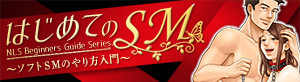 はじめてのSM