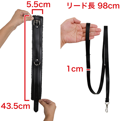 首輪とリード。※数値はNLS実測値。