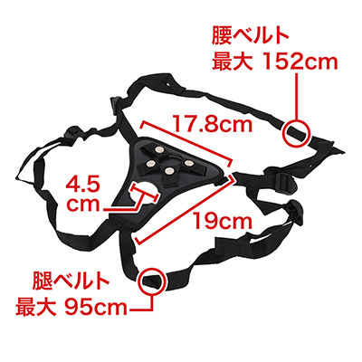 腰、腿ベルトともに調整可能。上のリングにはディルドを、下には自身のペニスを通します。　※数値はＮＬＳ実測値