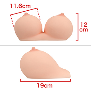 【豊乳（釣鐘型）】ツンと上向きな美巨乳。ハリのある健康的な乳房は観賞用としてもグッド。　※数値はＮＬＳ実測値