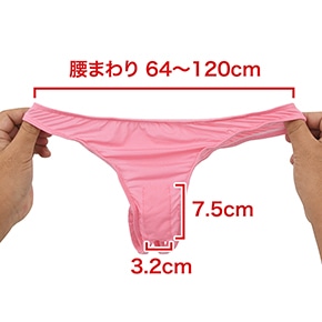 専用ショーツはＴバックで、フリーサイズのみ。デザインにまったく色気がありませんね…。　※数値はＮＬＳ実測値