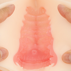 序盤のイボ群が執拗に纏わり付き、存在感たっぷり。奥のヒダもカリを的確に捉え、すべてのギミックが機能します。