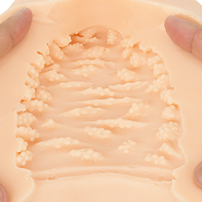 見た目とは裏腹にコリコリ感はほとんど得られません。それでも時折、やさしく擦れる感触に癒やされます。