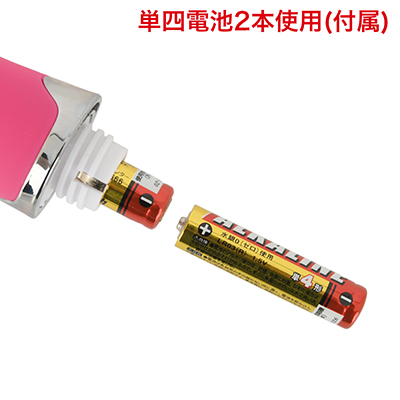 電池交換式。奥側を＋に、単４電池を２本入れてください。