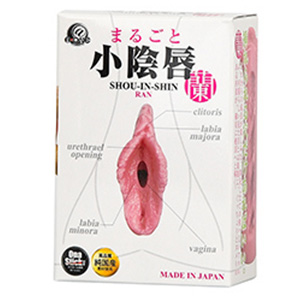 蘭