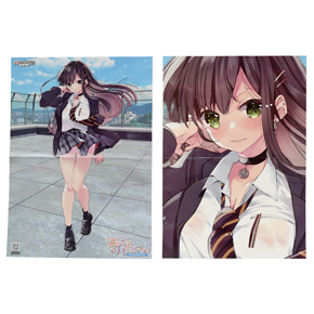 付属のポスターはＡ３サイズです。表と裏でイラストが異なります。