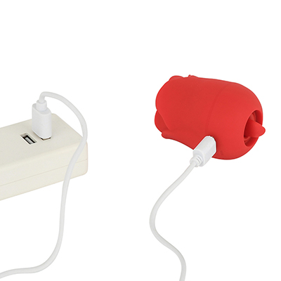 変換器にも対応するUSB充電式。フル充電までは約１時間、連続可動は約120分という、まずまずの性能。