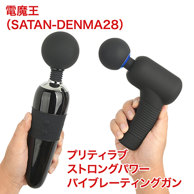 競合する「##1239##」と比べると、取り回しの面でやや不利かも。
