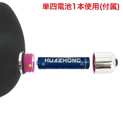 電池交換式。画像の向きに合わせて電池をセットしてください。