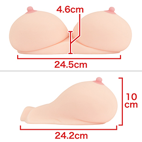 胸部土台を肉厚にしたため、両乳房が張り出しつつも、自然な印象に。これは大正解。　※数値はＮＬＳ実測値