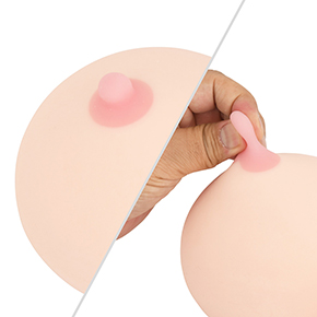 乳首は異素材でコリコリはしているものの、ディテールに凝っておらず、淡泊すぎるビジュアルなのが残念…。