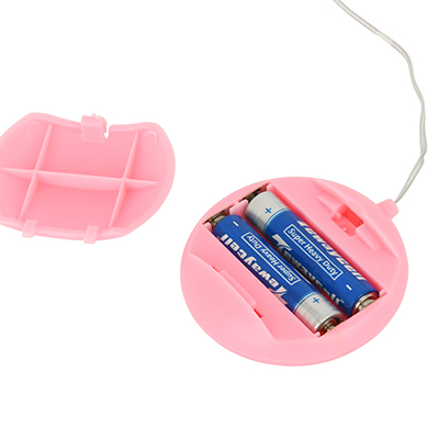 電源は単四電池×２本（付属）。本来のパワーを発揮するにはアルカリ電池推奨。電池の装填向きにご注意を。