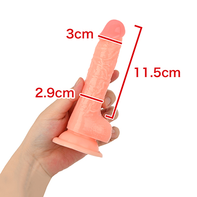 【12cm】　※数値はＮＬＳ 実測値