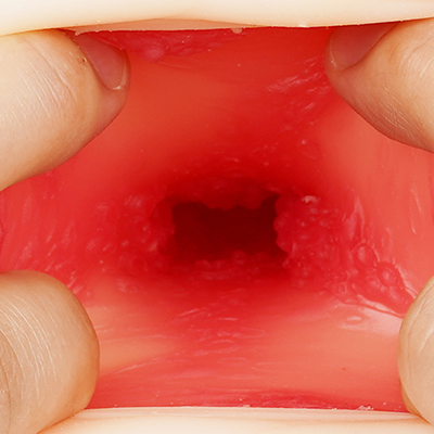 内壁には赤みの強い粘膜素材を使用し、３層構造になっています。小粒が集まったイボや緩やかな凹凸が並ぶ、有機的なテクスチャーです。