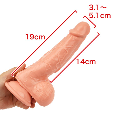最大幅が５cm越えるのは、かなりのビッグサイズ。隆起した裏スジやカリの張り具合など、非常に攻撃的なペニスですね。　※数値はＮＬＳ実測値
