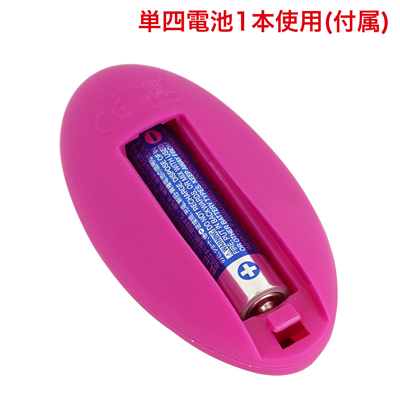 リモコンも電池交換式です。