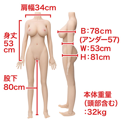 自立型ではないため、ムリに立たせると足元の肉が潰れます。各寸法を参考に、下着や衣装を選んでください。　※数値はＮＬＳ実測値