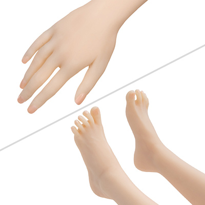 手足の造型もリアルで美しいですよね。手指は爪が貼られていて、より本物らしい印象。足先は芯がないので圧が掛かると変形しやすいかも。