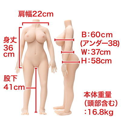 この身長でグラマー体型って、現実ではあまりないですよね。こちらも自立型ではないため、ムリに立たせないよう、ご注意ください。　※数値はＮＬＳ実測値